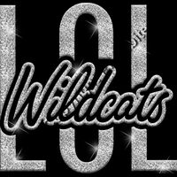 GLT95 SILVER GLITTER Thumbnail