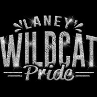 GLT62 SILVER GLITTER Thumbnail