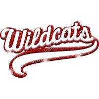 GLT78 RED GLITTER Thumbnail